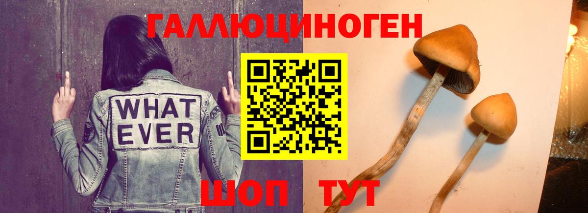 Галлюциногенные грибы мицелий  Вход с VPN  Баксан 